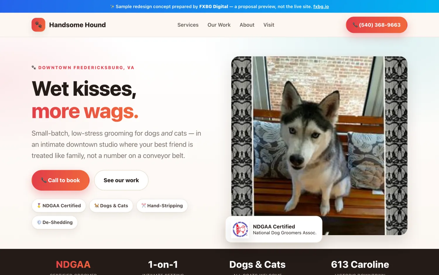 Handsome Hound Pet Grooming sample redesign