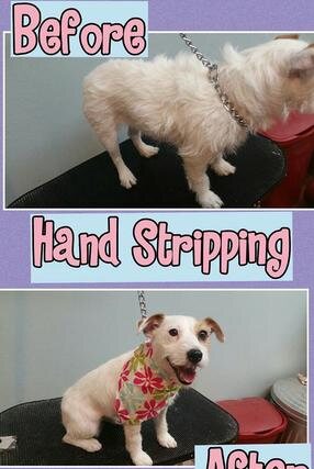 Hand stripping before and after